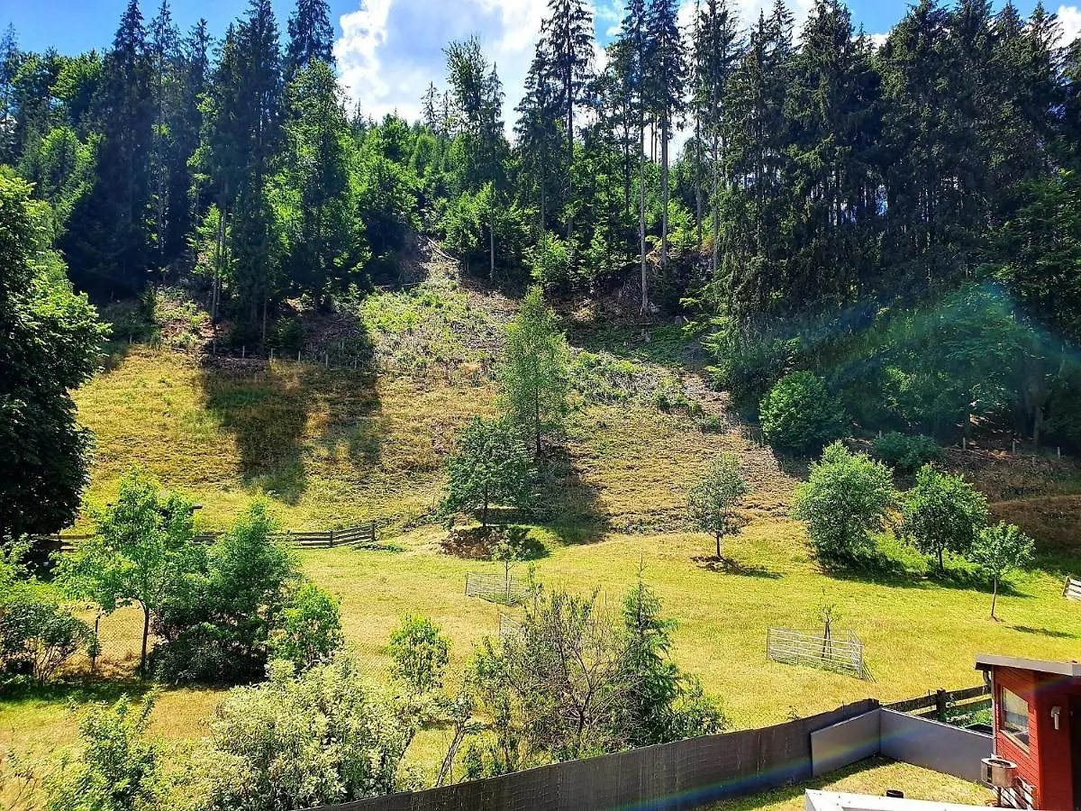 Ferienwohnung Bei Vogel Geroldsgrun 德国